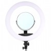 LED Ring Lamp Set 65W LR-650