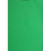 Falcon Eyes Background Cloth BCP-10 2,9x5 m Chroma Green Washable