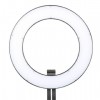 LED Ring Lamp Dimmable DVR-384DVC on 230V - Falcon Eyes